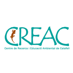 CREAC