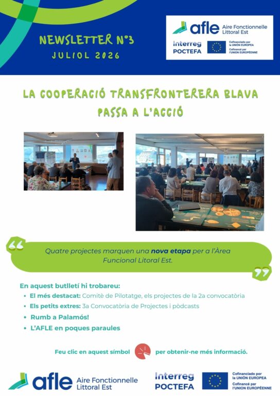 260629_AFLE_Newsletter_3_CAT