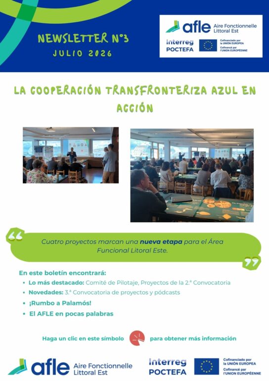 260629_AFLE_Newsletter_3_ES